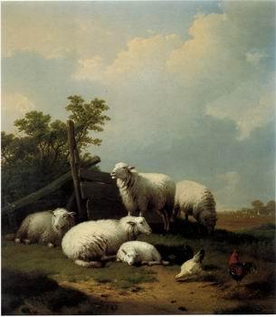  Sheep 125